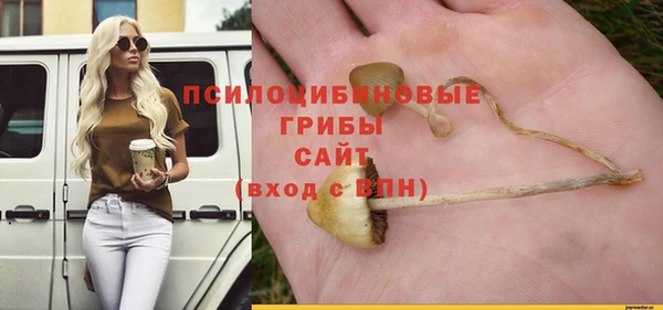 героин Алексин
